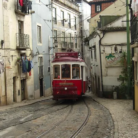 My Lovely Alfama's *